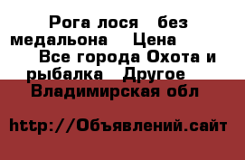 Рога лося , без медальона. › Цена ­ 15 000 - Все города Охота и рыбалка » Другое   . Владимирская обл.